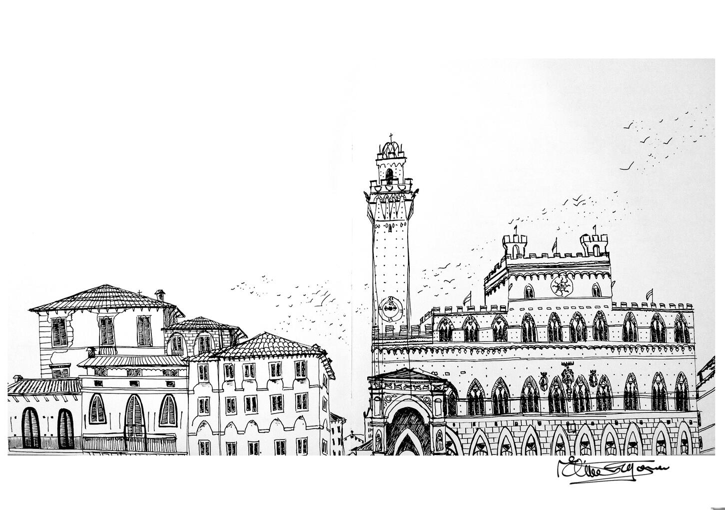 Siena - Piazza
